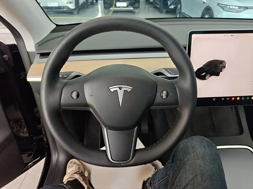 Tesla Model Y — миниатюра 11