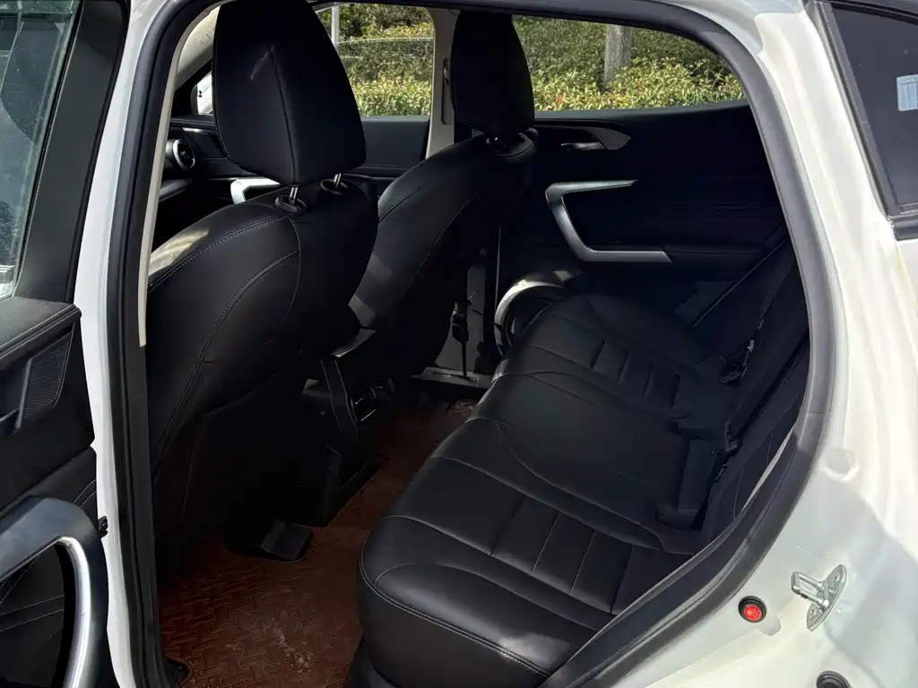 WEI PAI WEI BRAND VV5