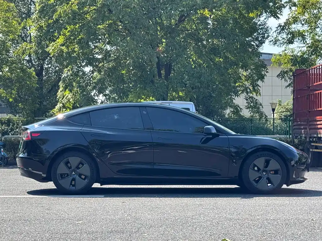Tesla Model 3 — миниатюра 3