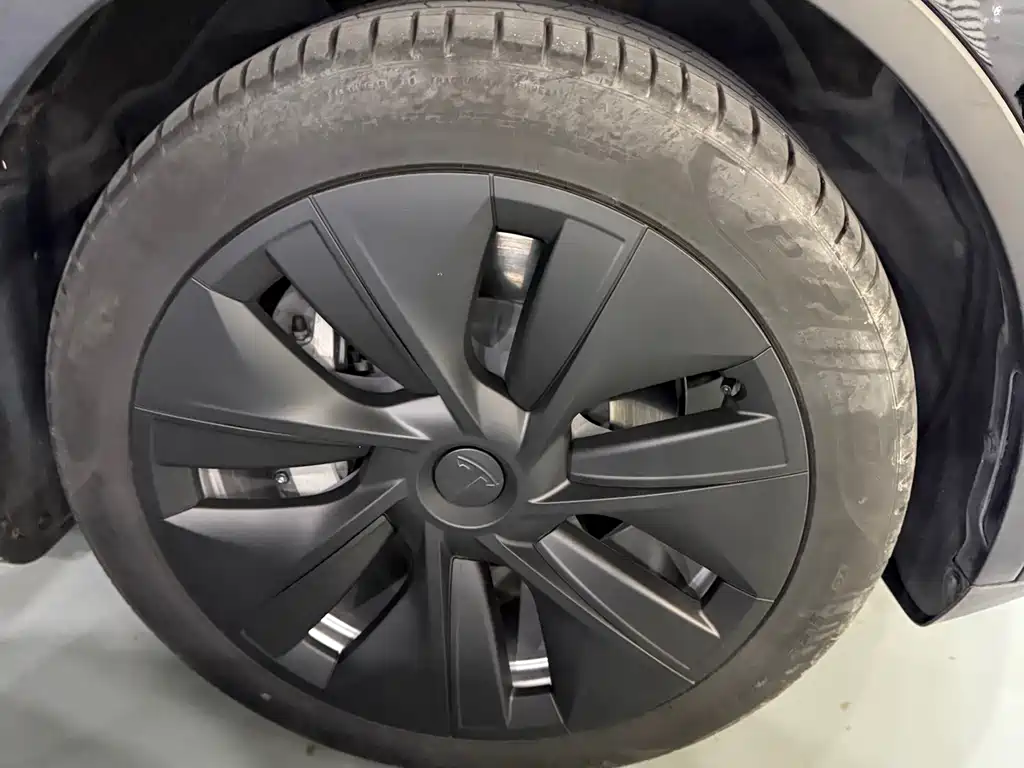 Tesla Model Y — миниатюра 15