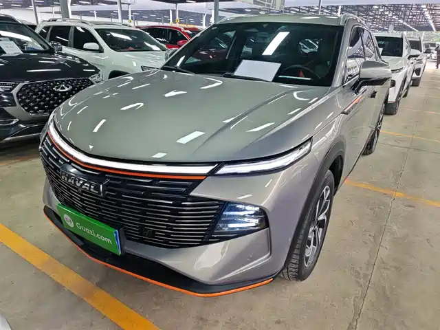 HAVAL BEAST