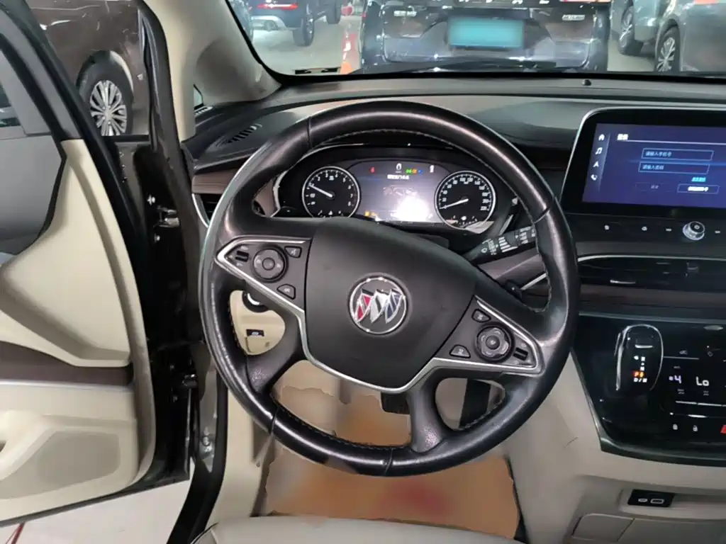 Buick GL8 — миниатюра 11