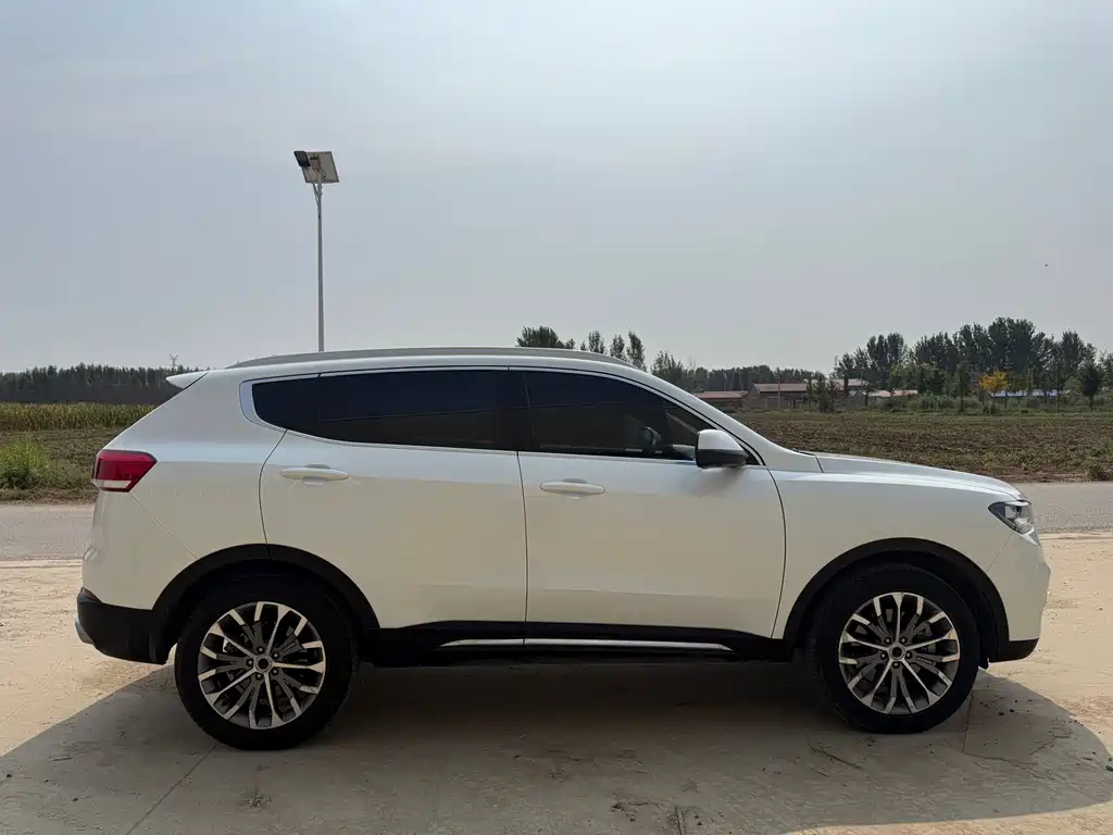 Haval H6 — миниатюра 8