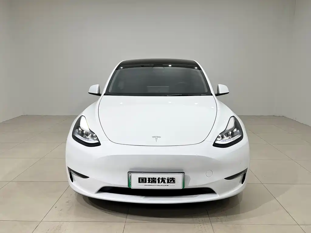 Tesla Model Y — миниатюра 2