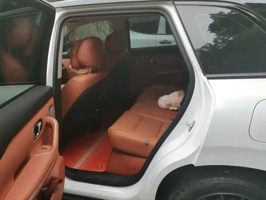 Leapmotor Leapmotor C10 — миниатюра 11