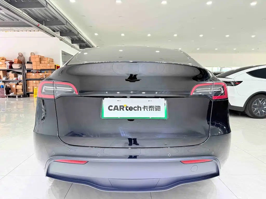 Tesla Model Y — миниатюра 5