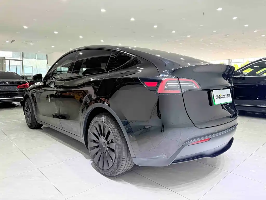 Tesla Model Y — миниатюра 4