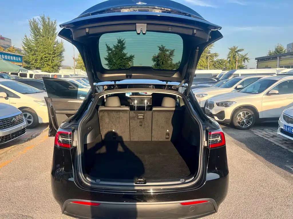 Tesla Model Y — миниатюра 15