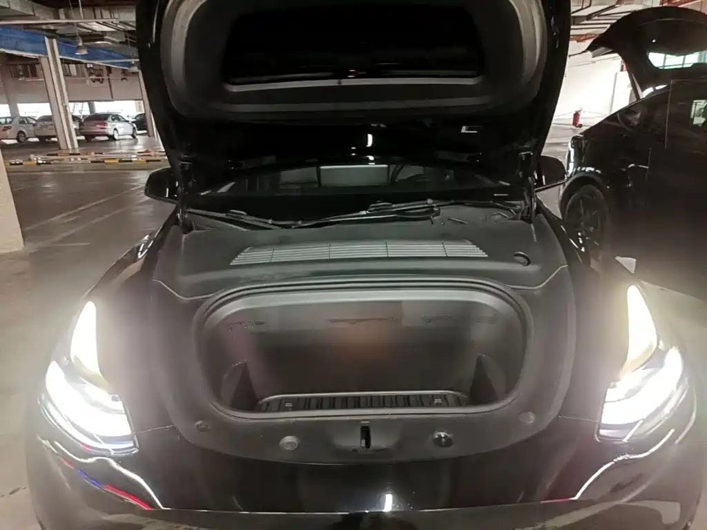 Tesla Model Y — миниатюра 20