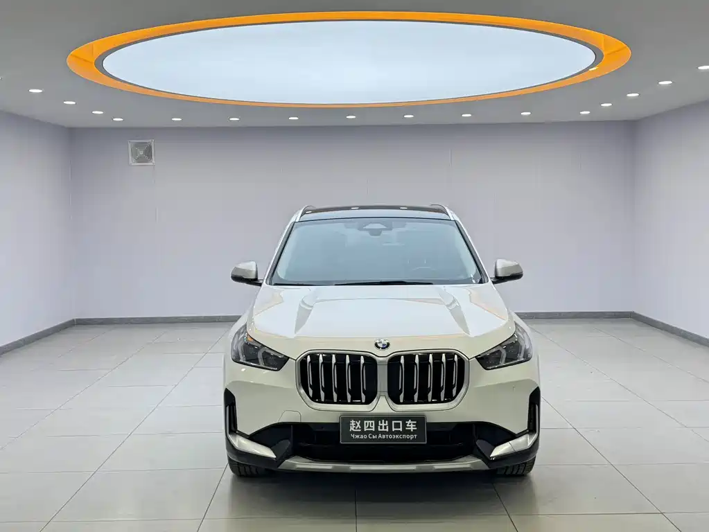 BMW X1 — миниатюра 2