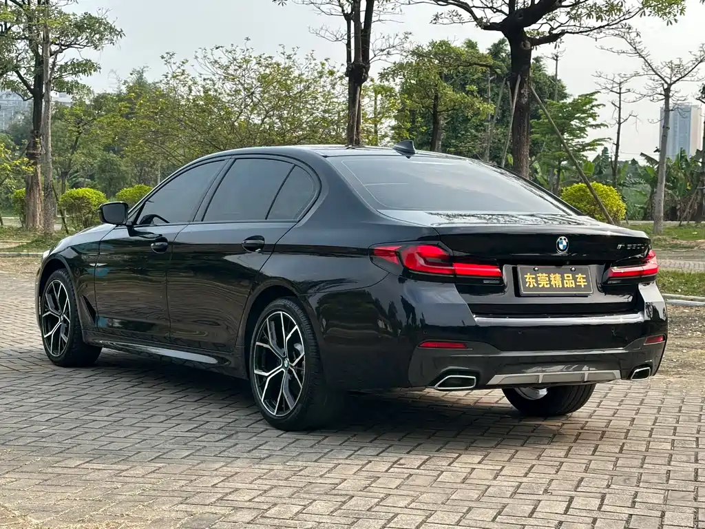 BMW 5 Series 5 2021 530Li Lead M Sport