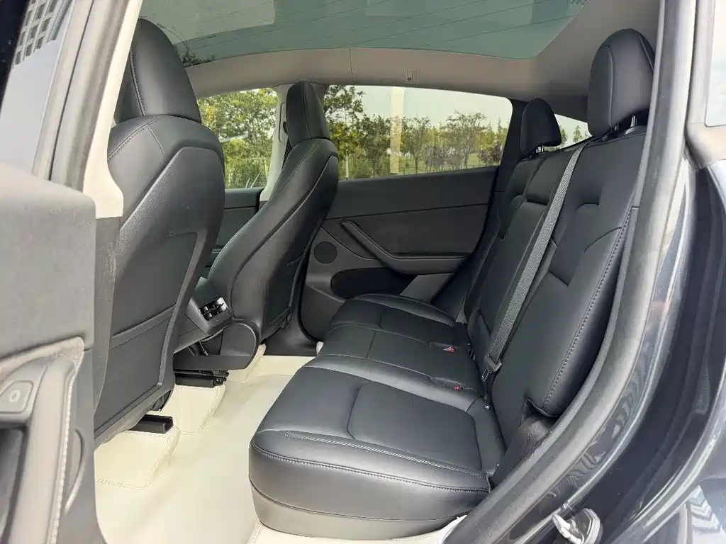 Tesla Model Y — миниатюра 12
