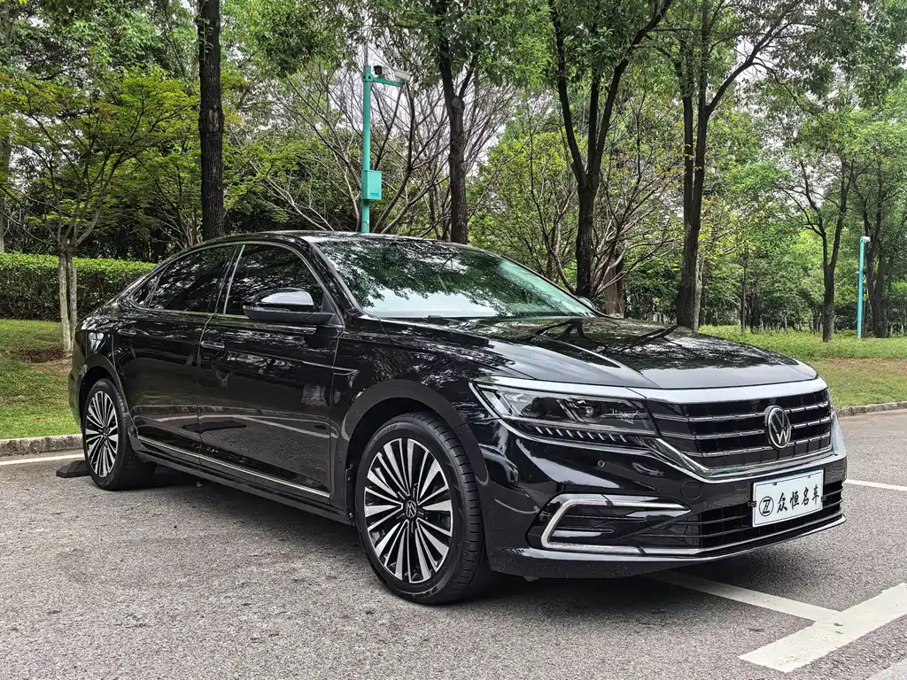 Volkswagen Passat — миниатюра 3
