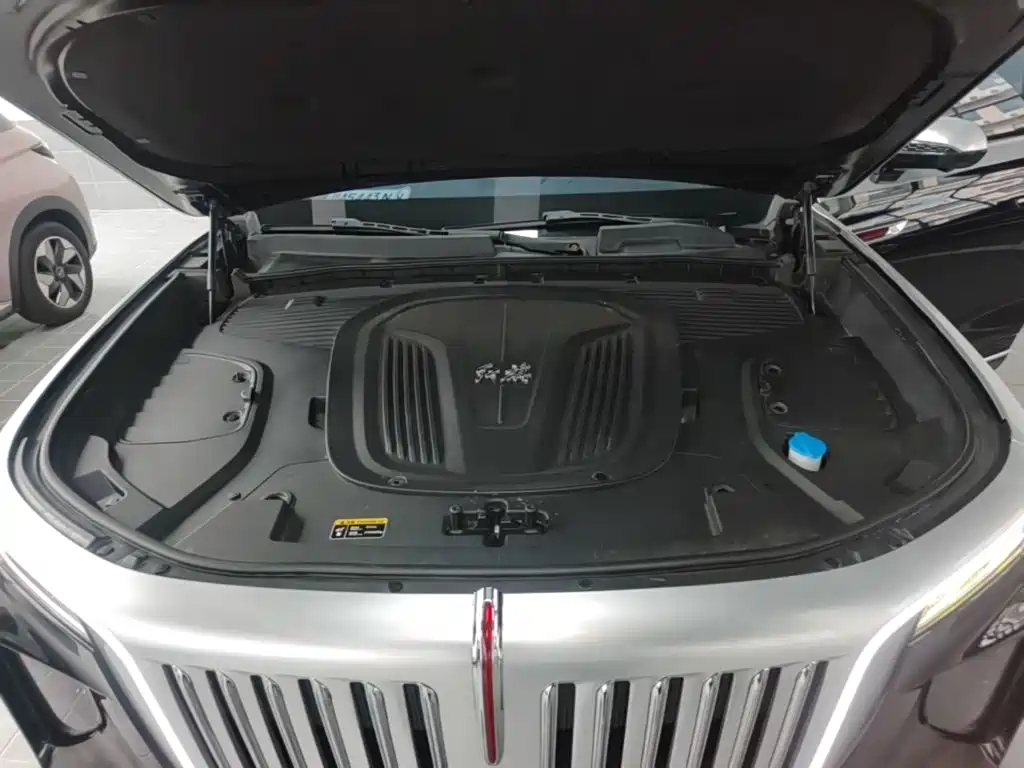 Hongqi Hongqi E-HS9 — миниатюра 20