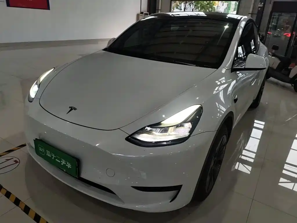 Tesla Model Y — миниатюра 2
