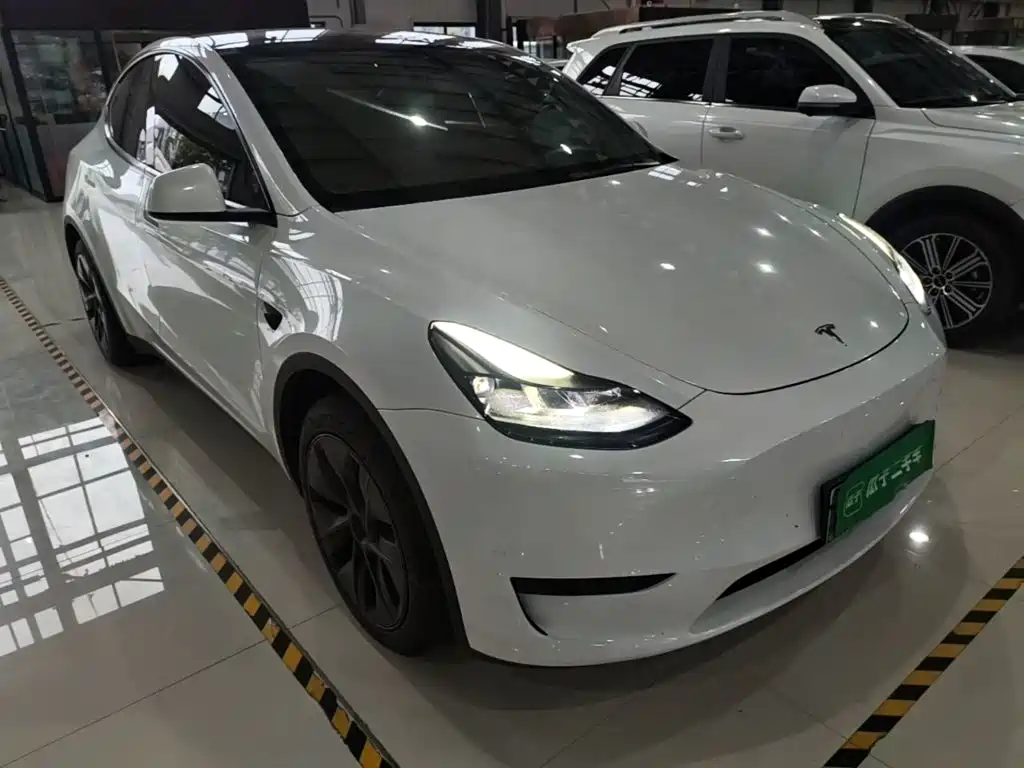 Tesla Model Y — миниатюра 22