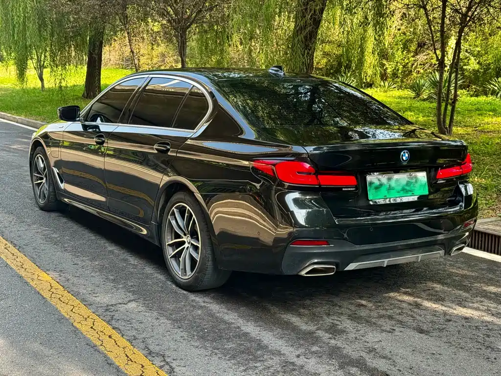 BMW 5 Series New Energy — миниатюра 8