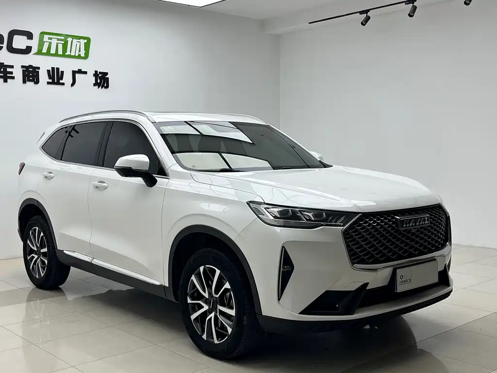 Haval H6 — миниатюра 2