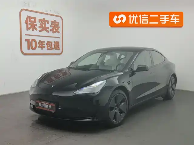 TESLA MODEL 3 2021