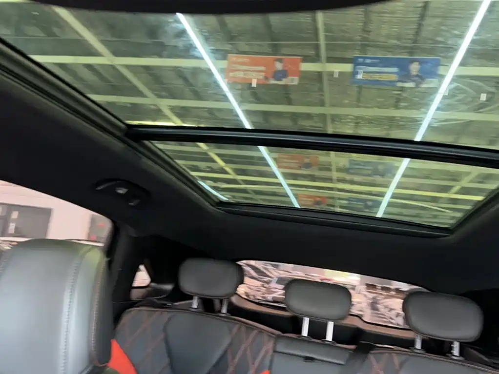 Haval Shenshou — миниатюра 14