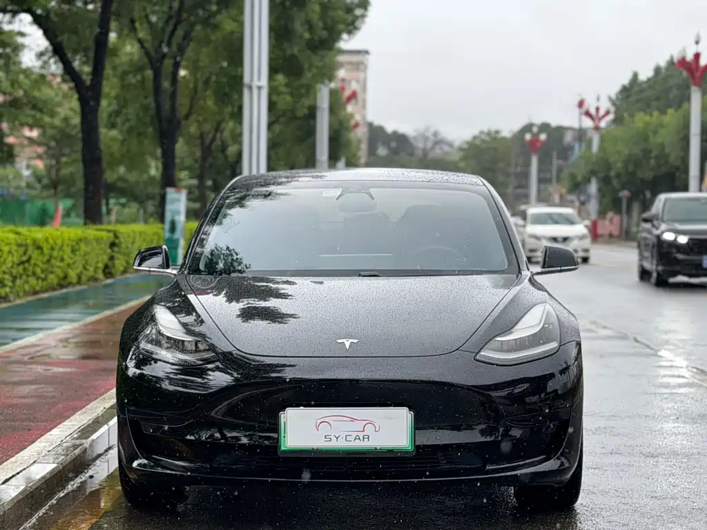 Tesla Model 3 — миниатюра 2