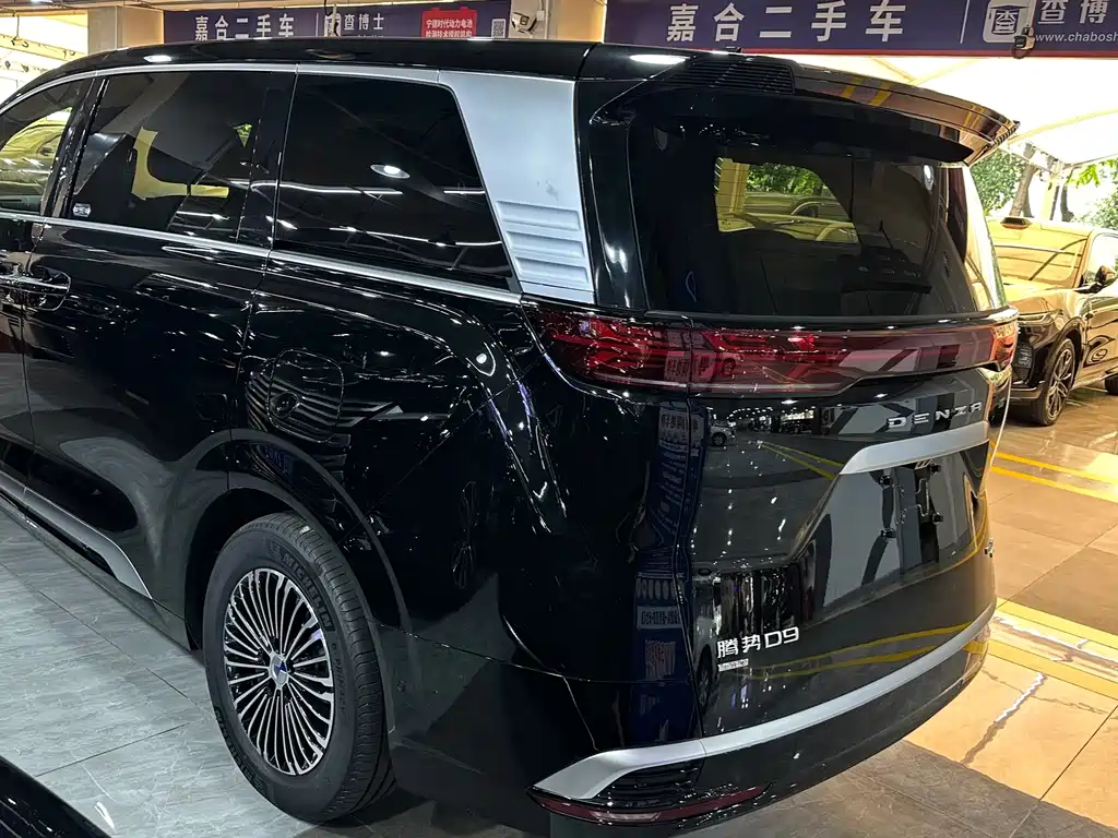Denza Denza D9 — миниатюра 12