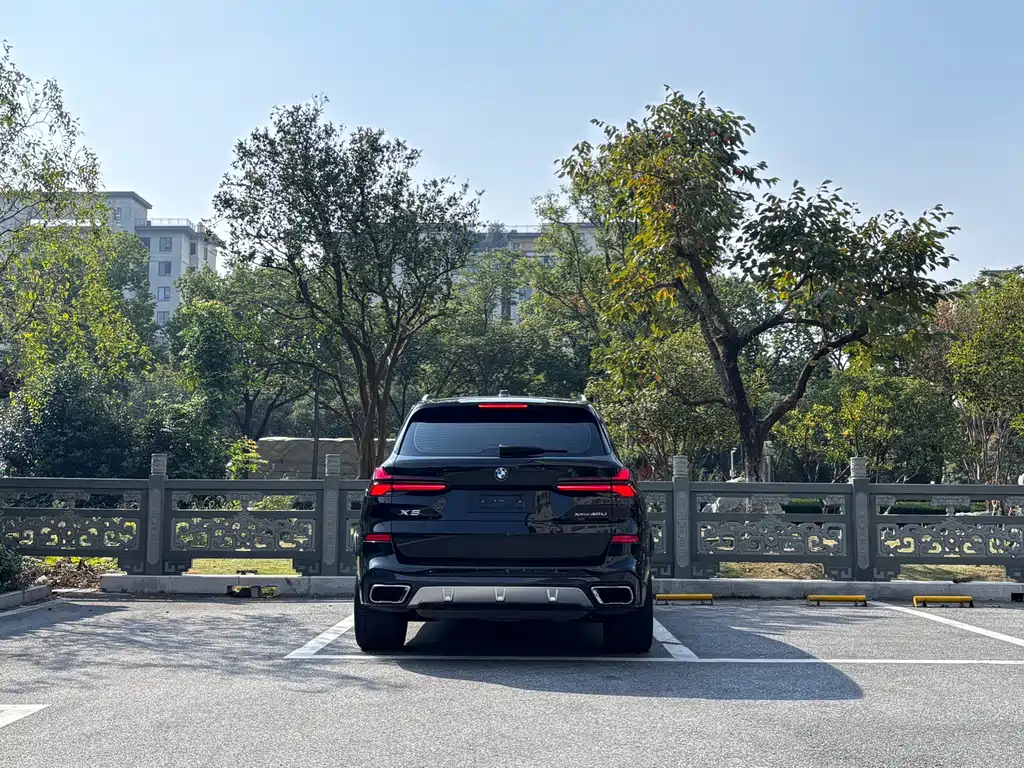BMW X5 — миниатюра 5