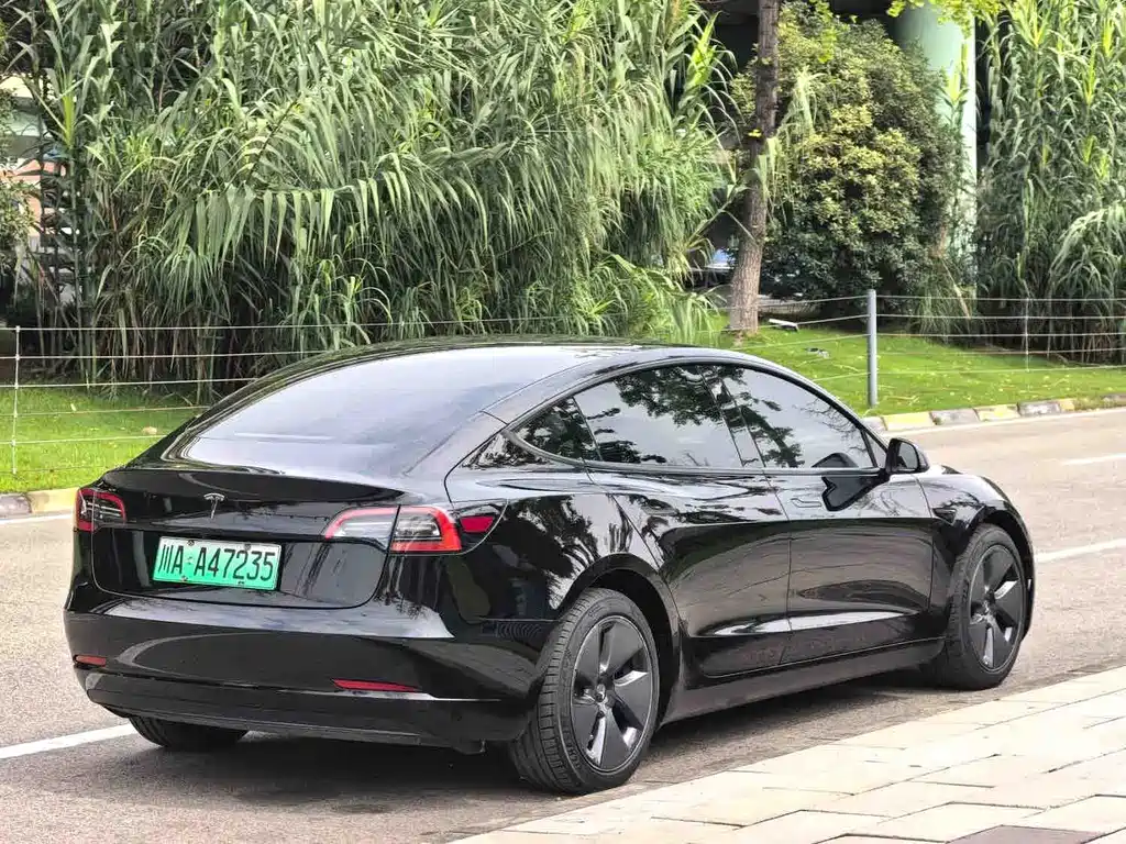 Tesla Model 3 — миниатюра 6