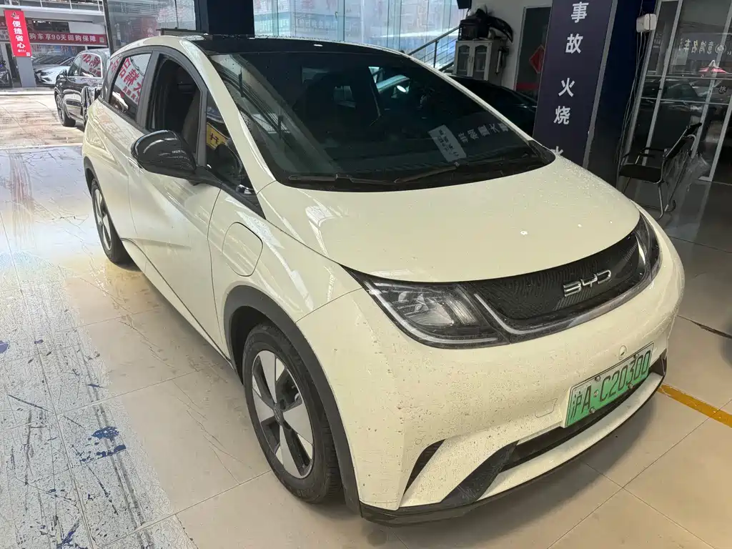 BYD Dolphin — миниатюра 2