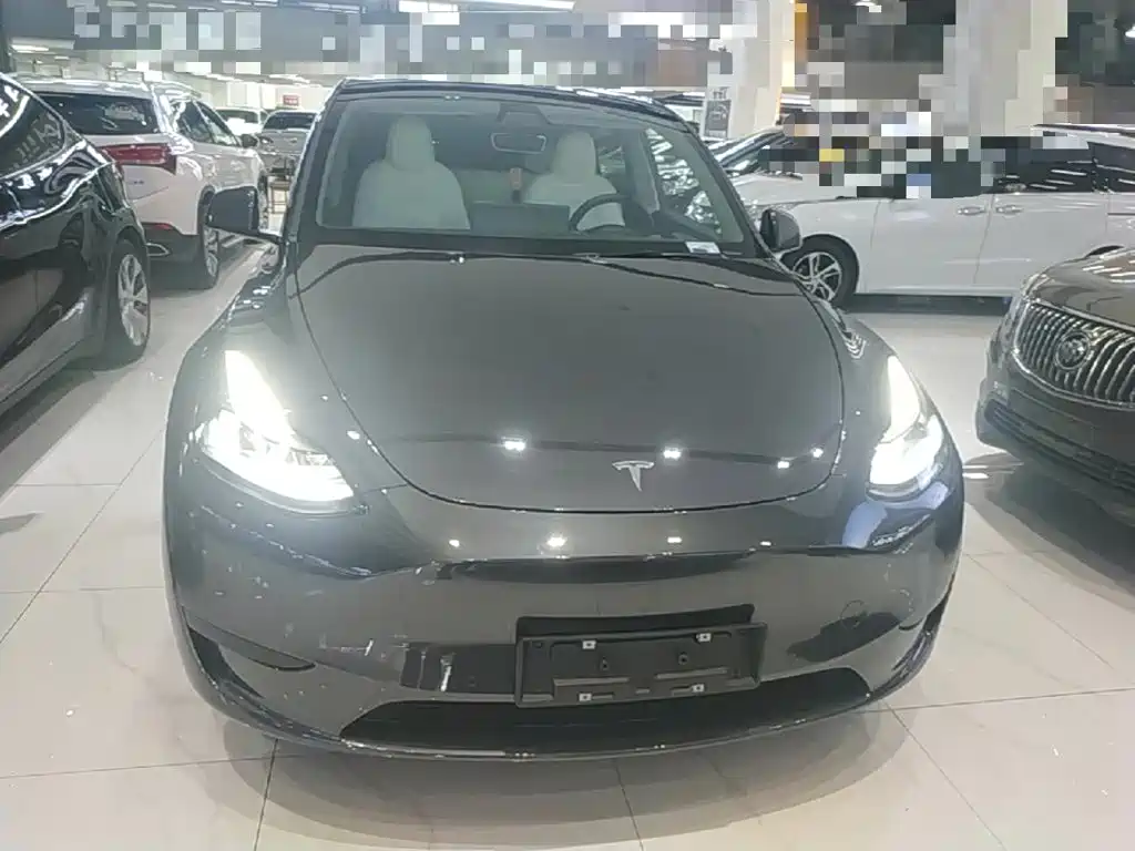 Tesla Model Y — миниатюра 3