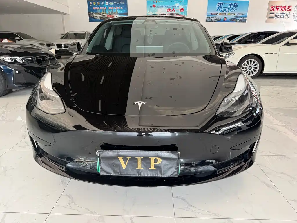 Tesla Model 3 — миниатюра 2