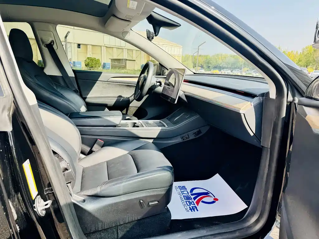 Tesla Model Y — миниатюра 9