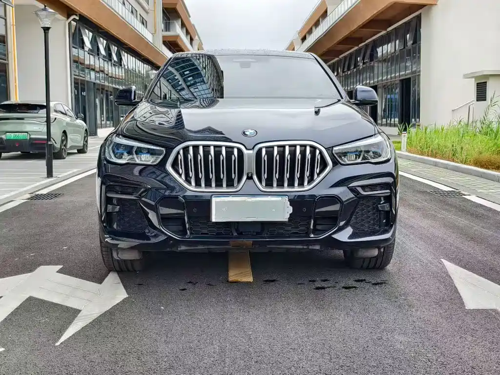 BMW X6 — миниатюра 2