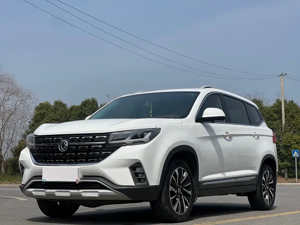 Fengxing Fengxing T5 2019