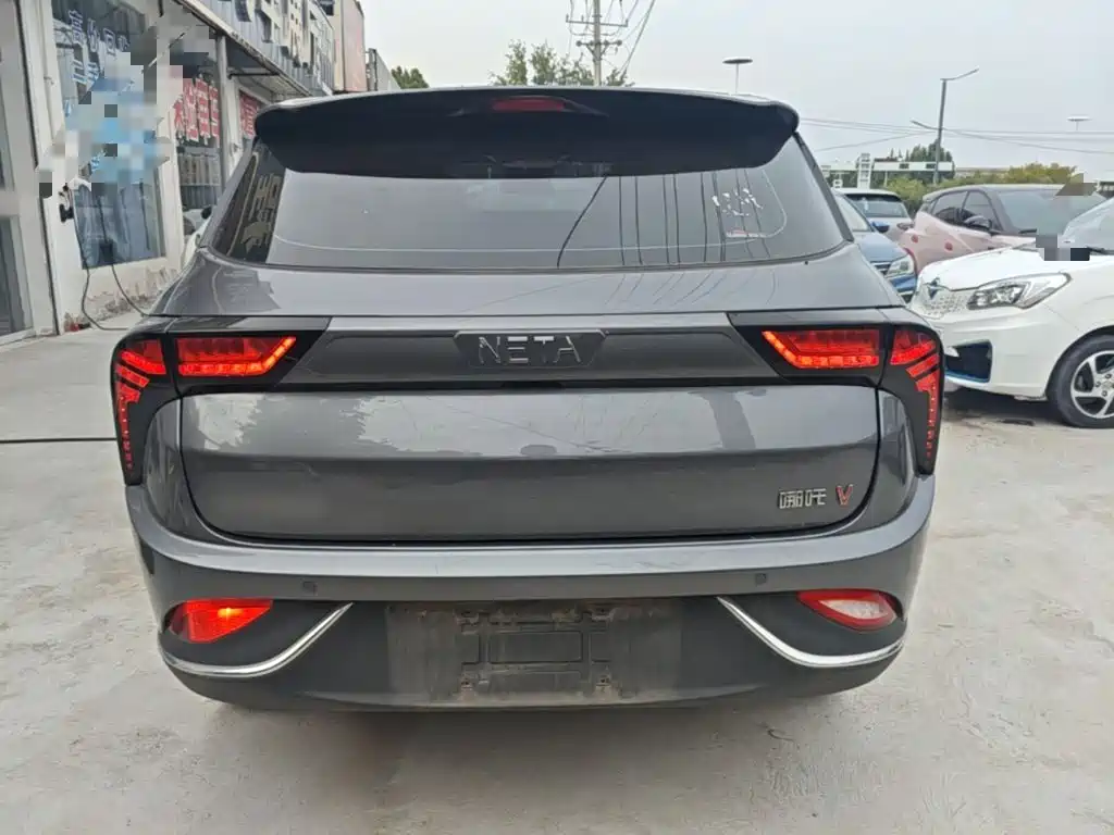Neta Neta V — миниатюра 6