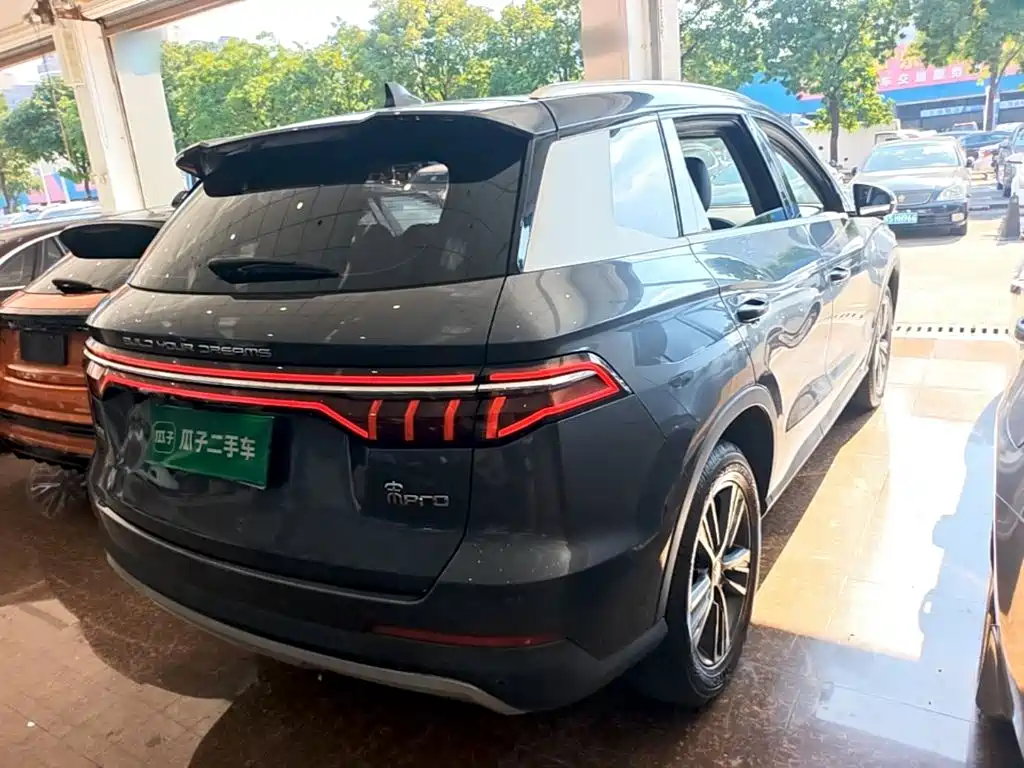 BYD Pro — миниатюра 7