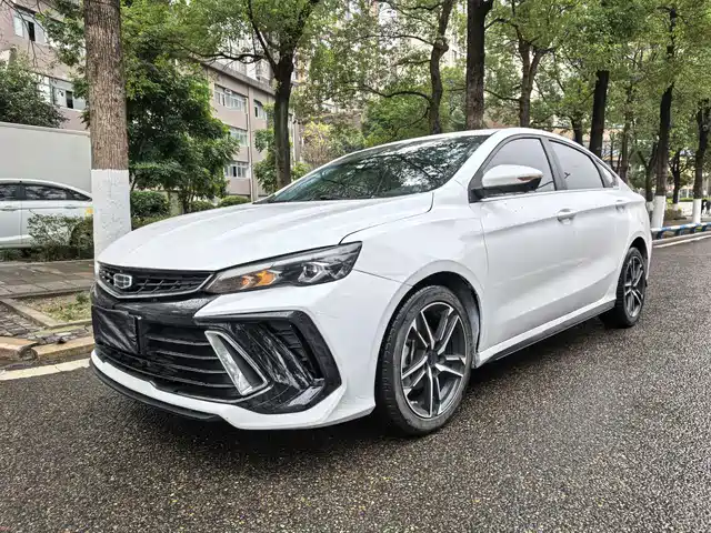 GEELY AUTOMOBILE BINRUI