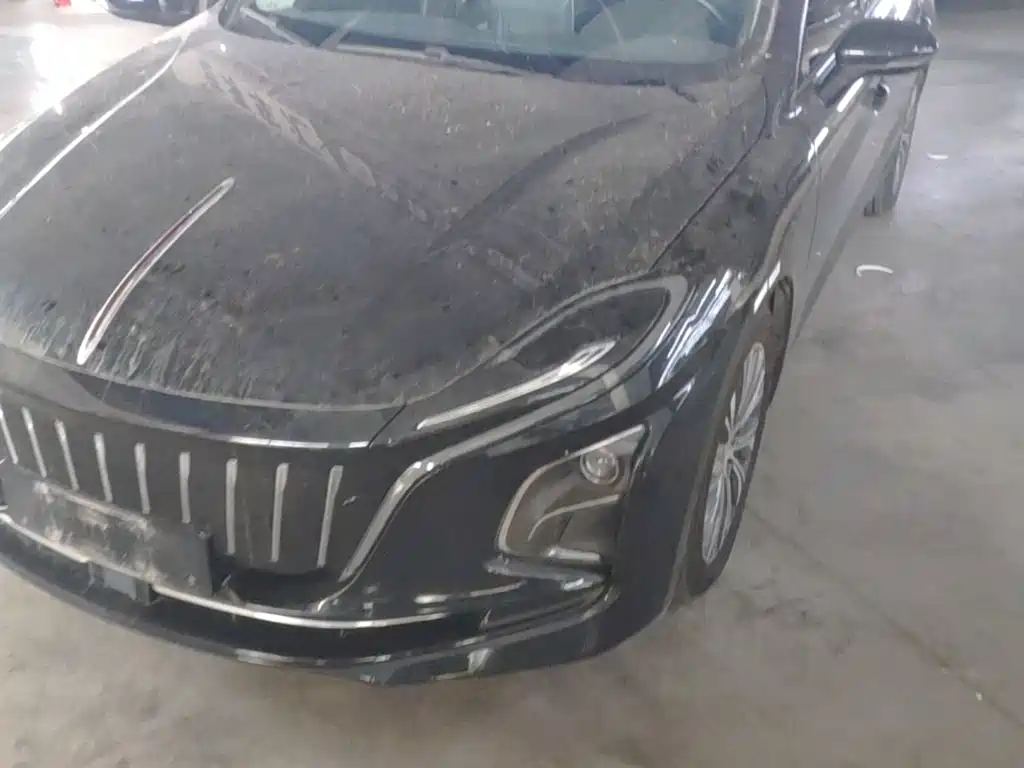 Hongqi Hongqi E-QM5 — миниатюра 24