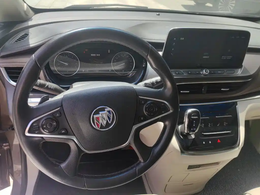 Buick GL8 — миниатюра 11