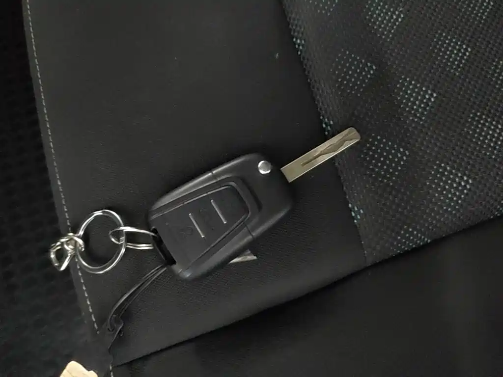 MAXUS V80 — миниатюра 9
