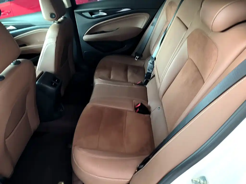 Buick Regal — миниатюра 17