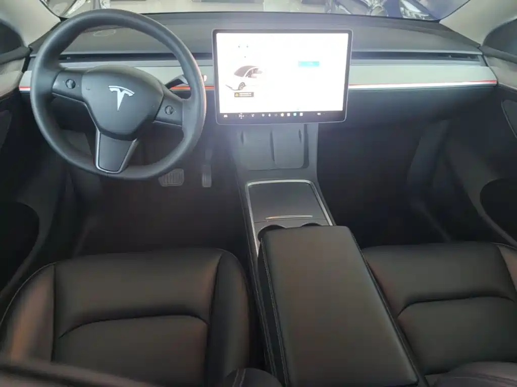 Tesla Model Y — миниатюра 10