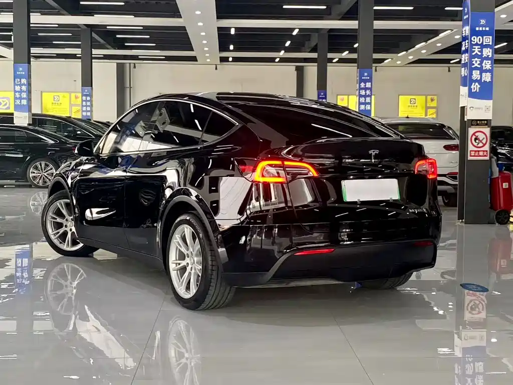 Tesla Model Y — миниатюра 9