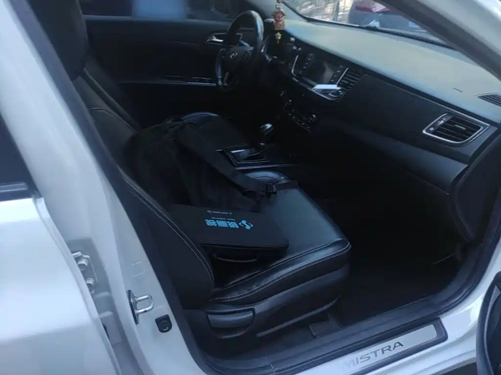 Hyundai Mistra — миниатюра 25