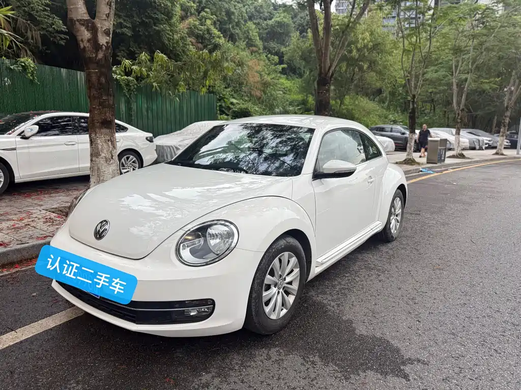 Volkswagen Beetle 2014