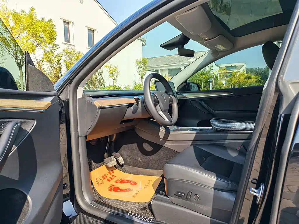 Tesla Model Y — миниатюра 5