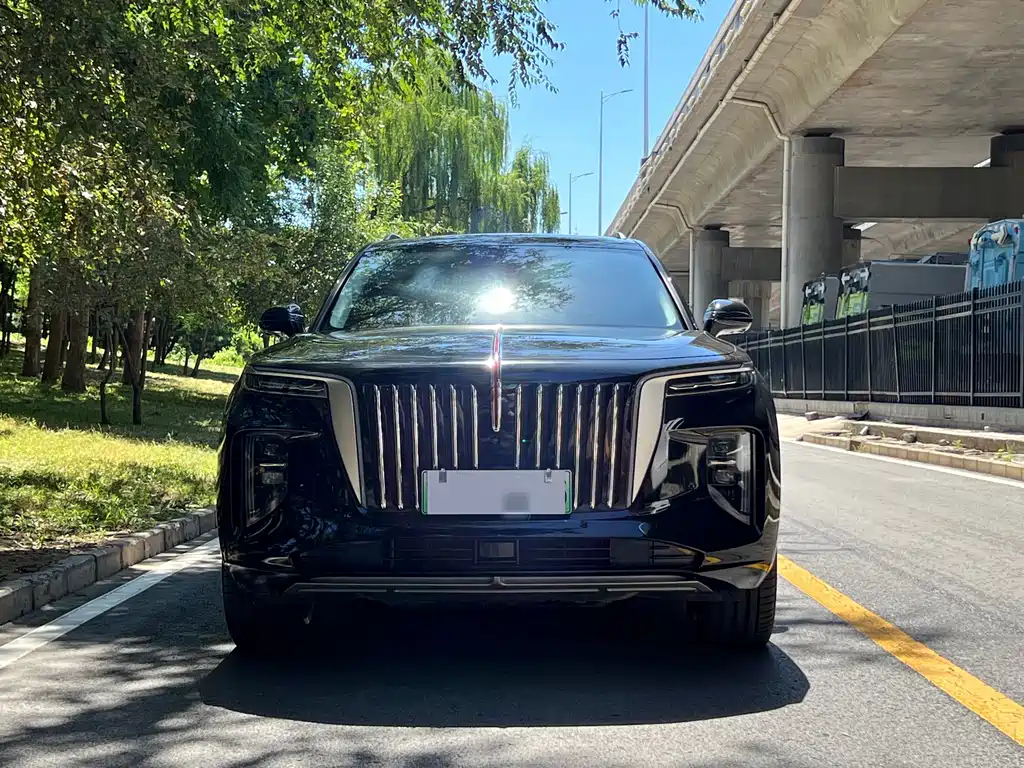 Hongqi Hongqi E-HS9 — миниатюра 2