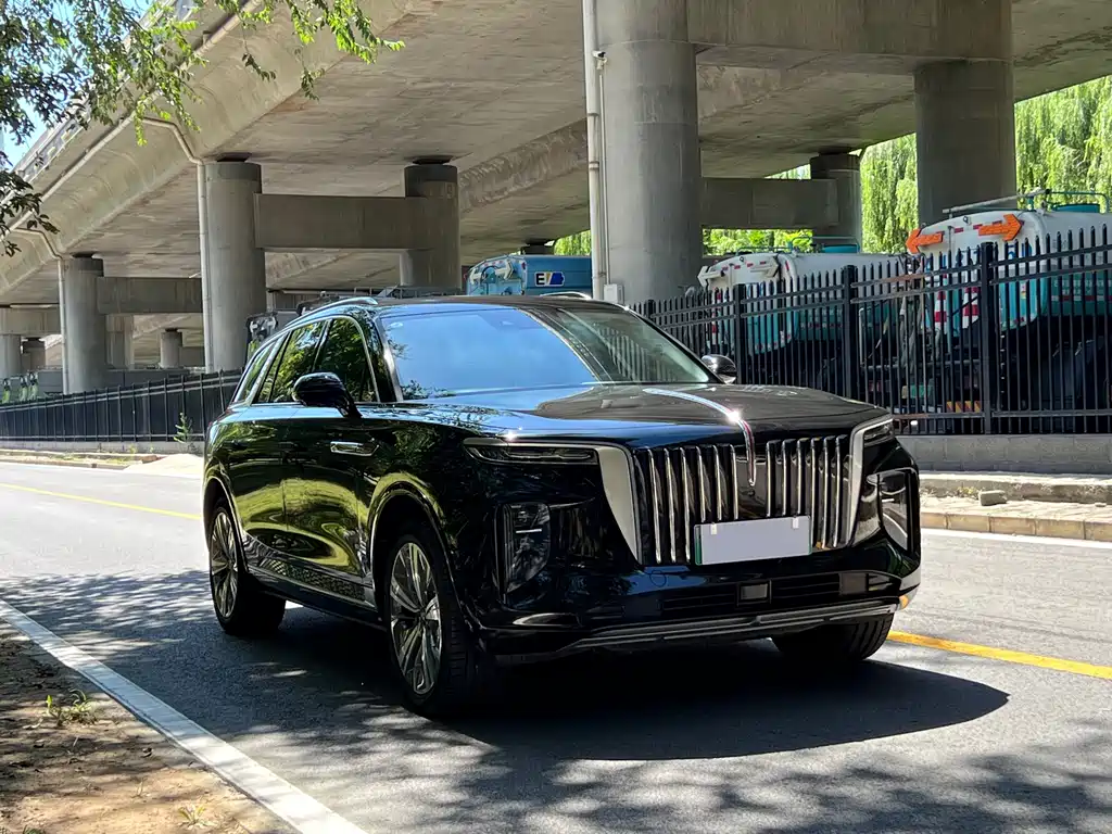 Hongqi Hongqi E-HS9 — миниатюра 3