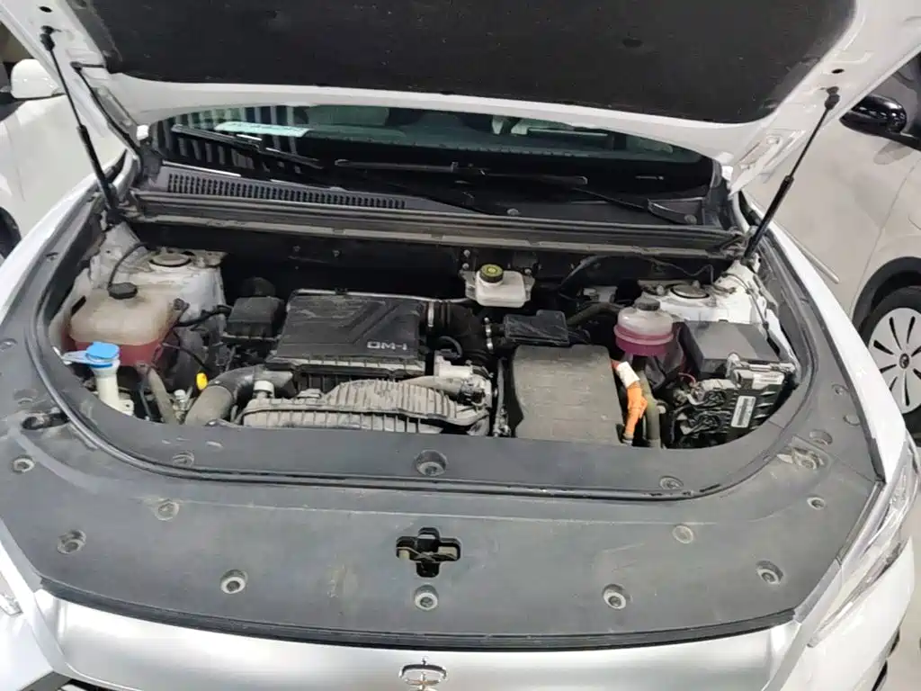 BYD Pro New Energy — миниатюра 20