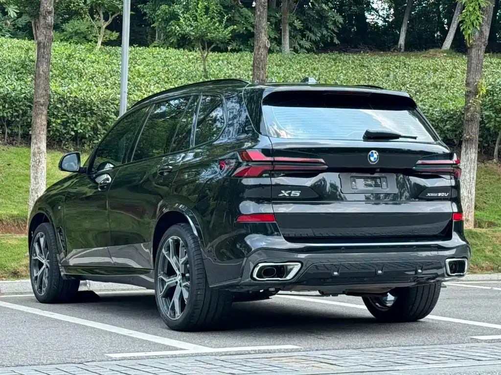 BMW X5 — миниатюра 9